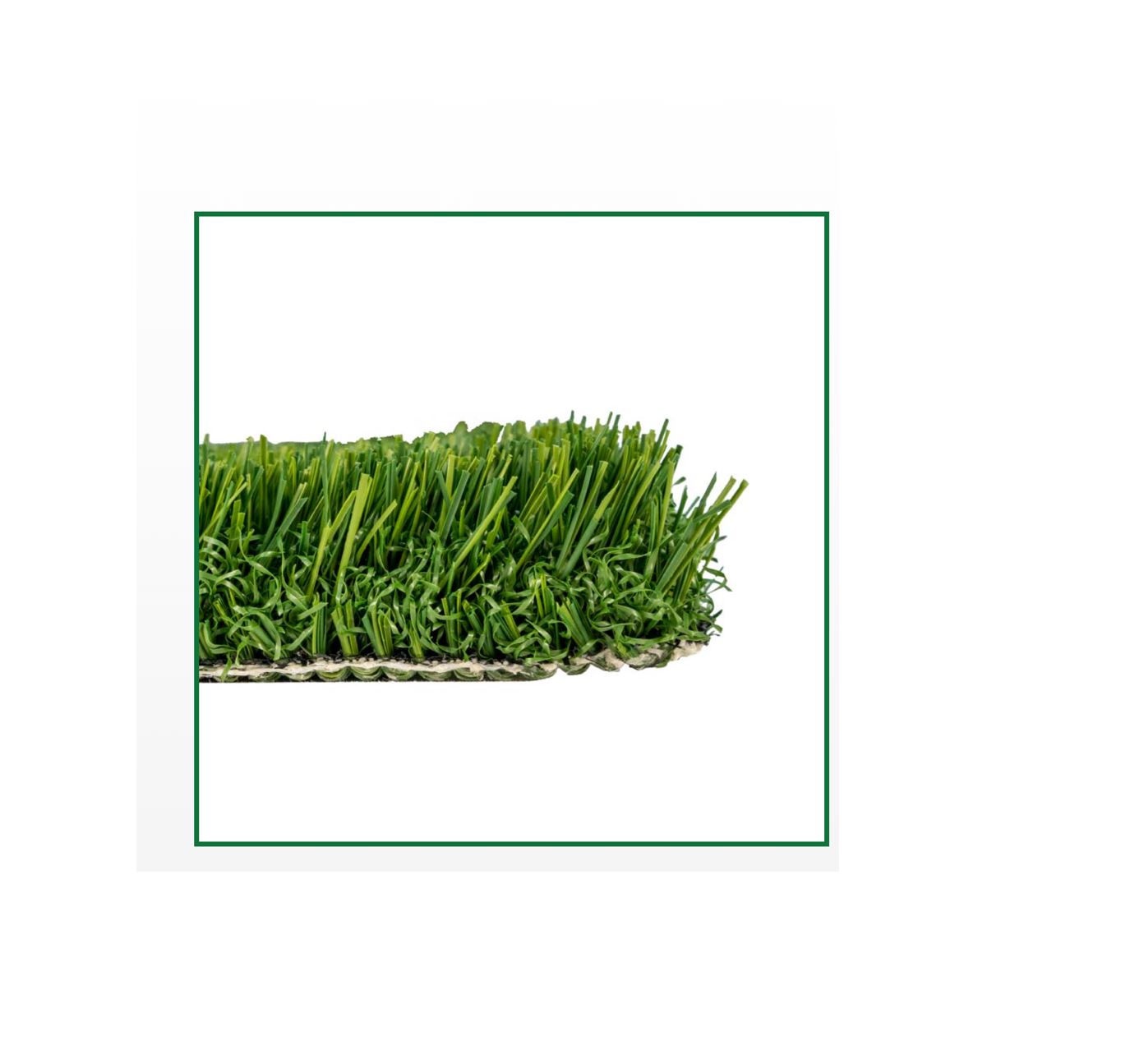 FESCUE REC XQ