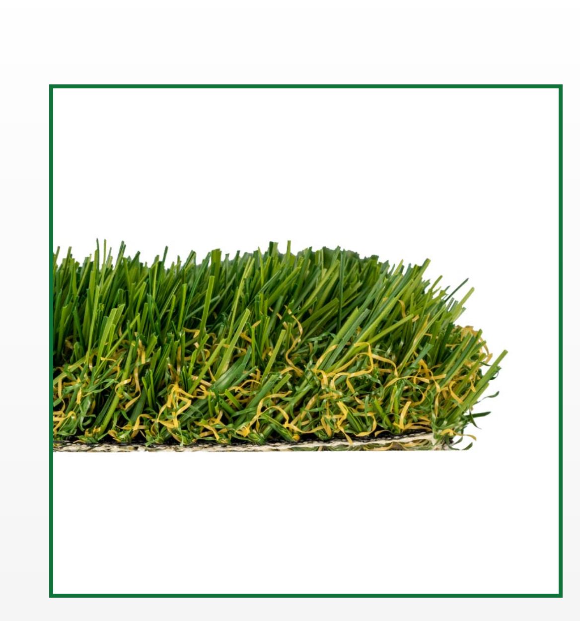 FESCUE ELITE XQ