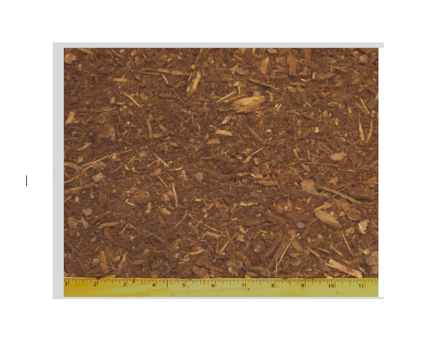 Fresh Ground Fir