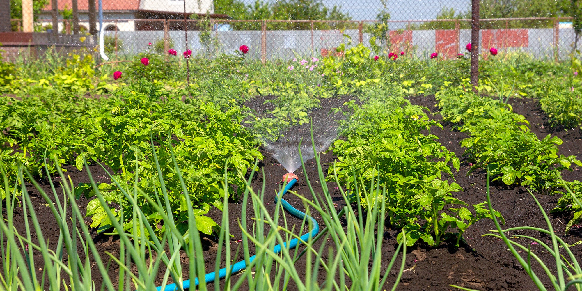 Fertigation – Onsite Supply House