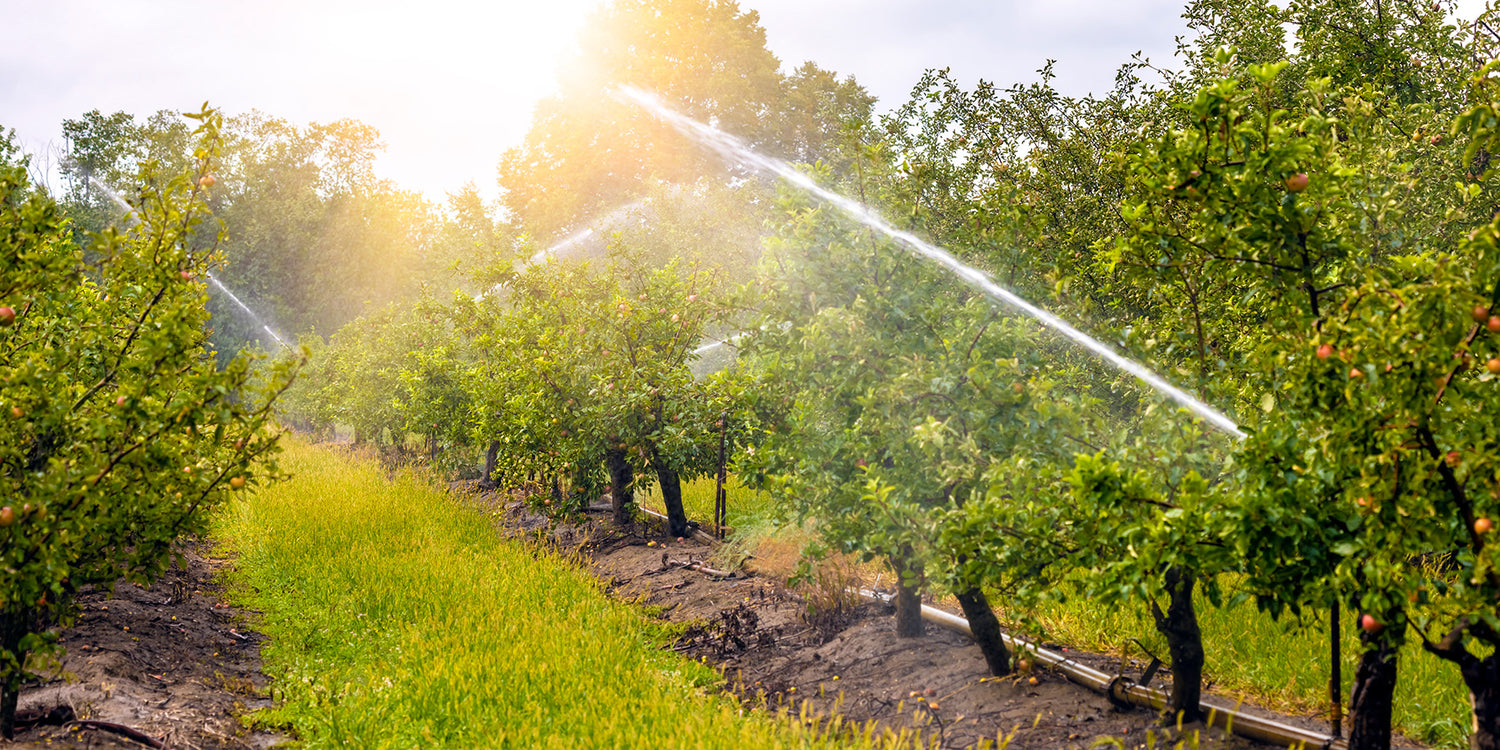 Orchard & Field Irrigation