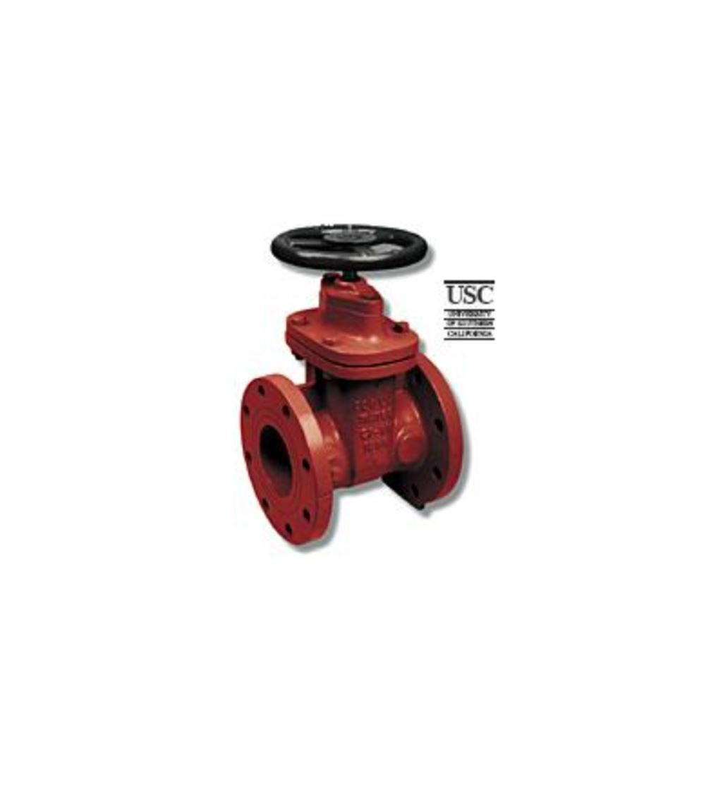 10RW Flanged Cast Iron Gate Valve