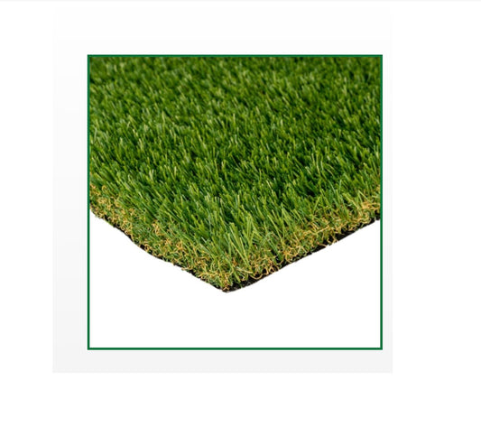 FESCUE ELITE XQ